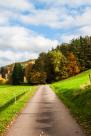 Autumn, Pfalz, Germany